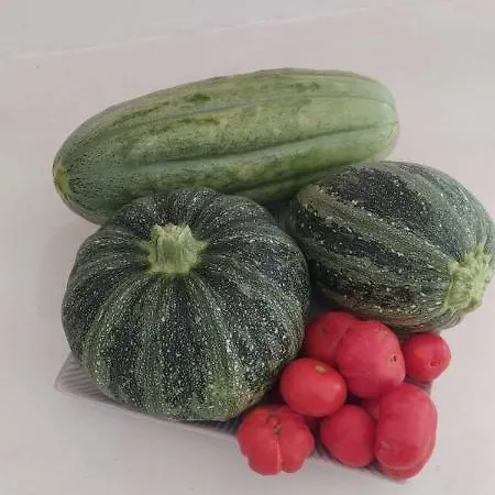 Santorinio Yellow House Éxo Goniá